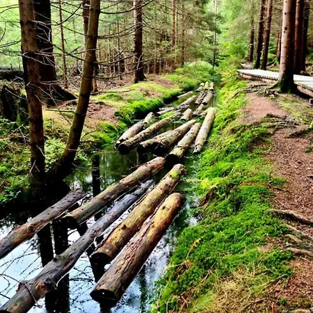 Orlik Horska Depandence Resortu 1 Rejvíz