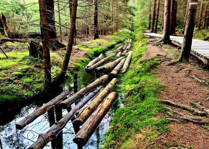 Orlik Horska Depandence Resortu 1 Rejvíz